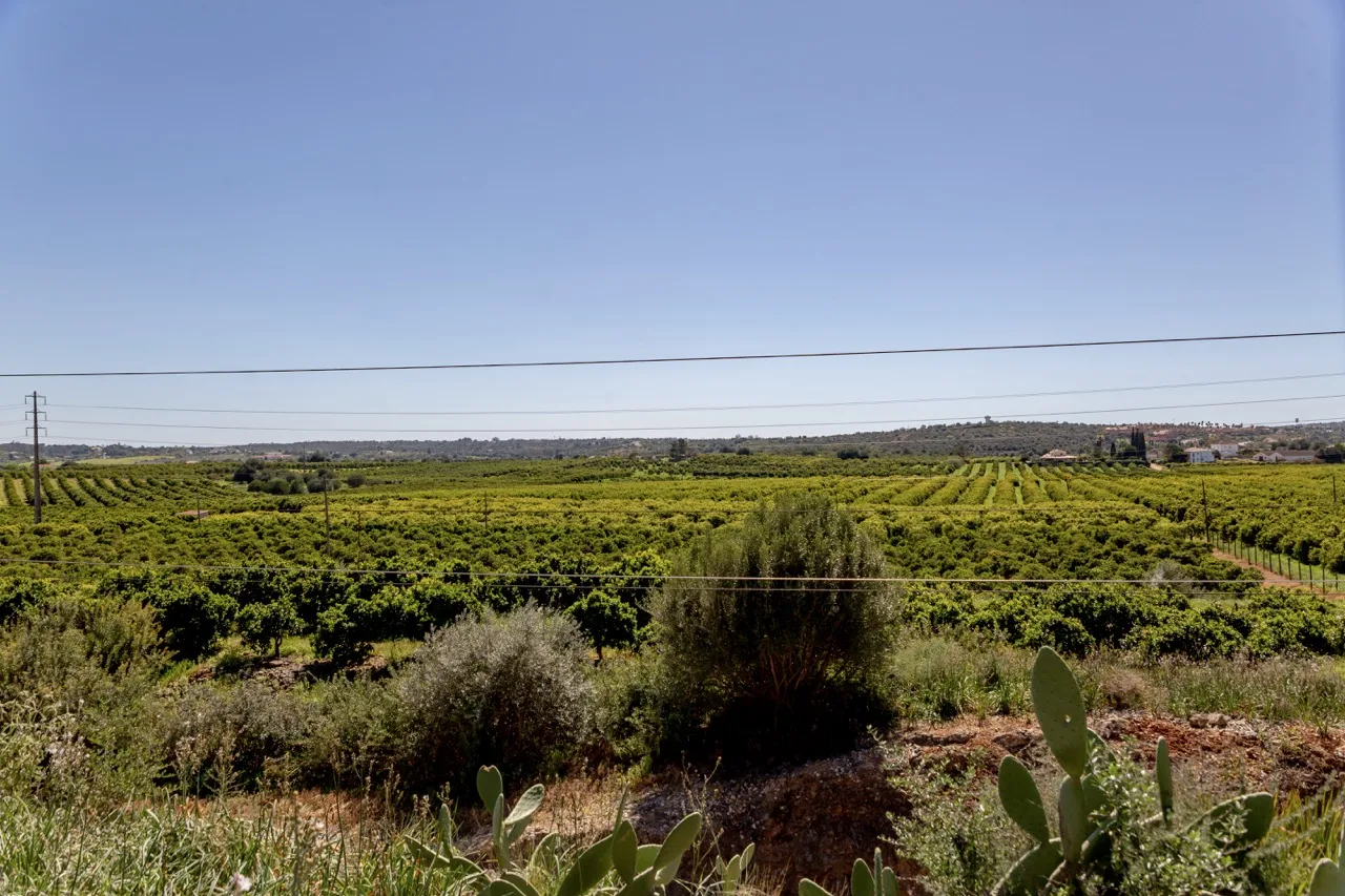 INE promove Inquérito à Estrutura das Explorações Agrícolas 2026